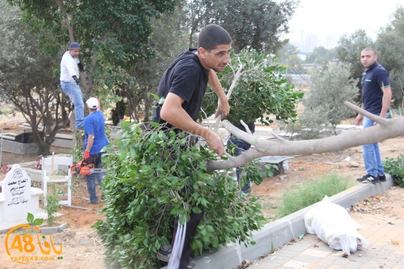 tasoooi3i1412 (2).JPG